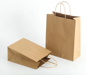 Brown Paper Bags 100Pcs, Kraft Paper Bags Gift Bag Paper Gift Bags Gift Bags Bulk Great for DIY Craft Commodity in bulk Restaurants To Go Bags Thanksgiving Halloween Easter-1-10x5x13in