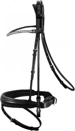 Round-Style Snaffle Bridle Harmony