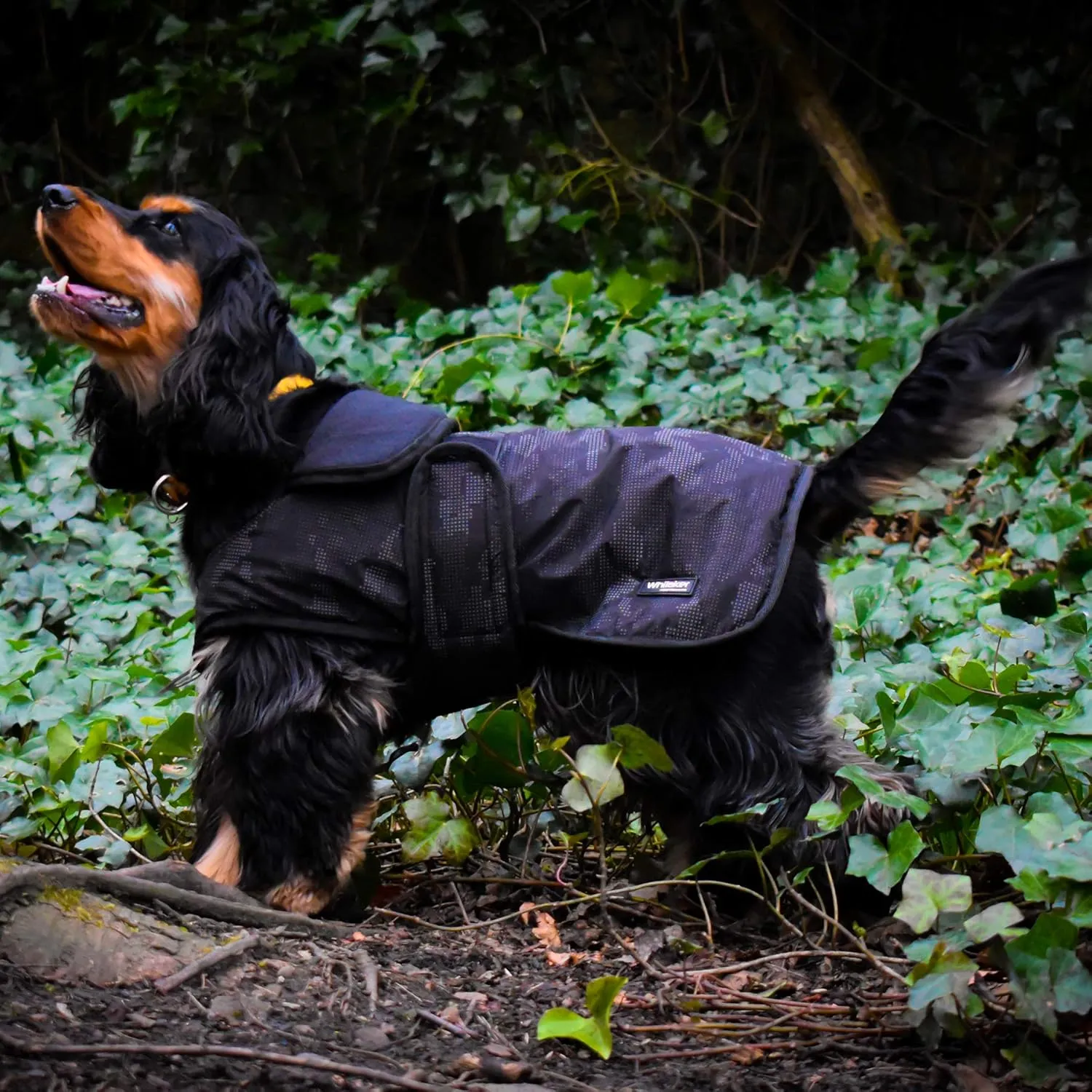 Sydney Reflective Dog Jacket Medium Black