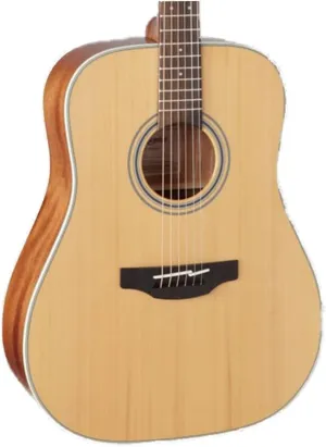 Takamine 6 String Acoustic Guitar, Right Handed, Natural (GD20-NS)