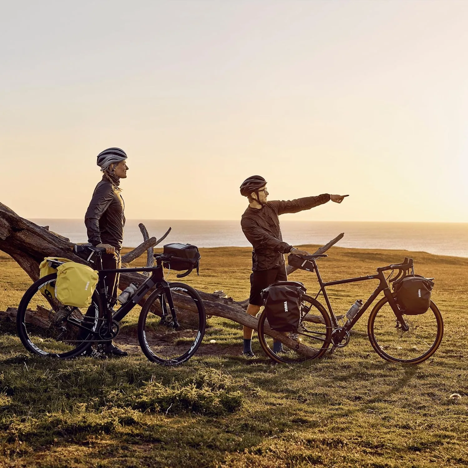 Thule Shield Bike Pannier Bag